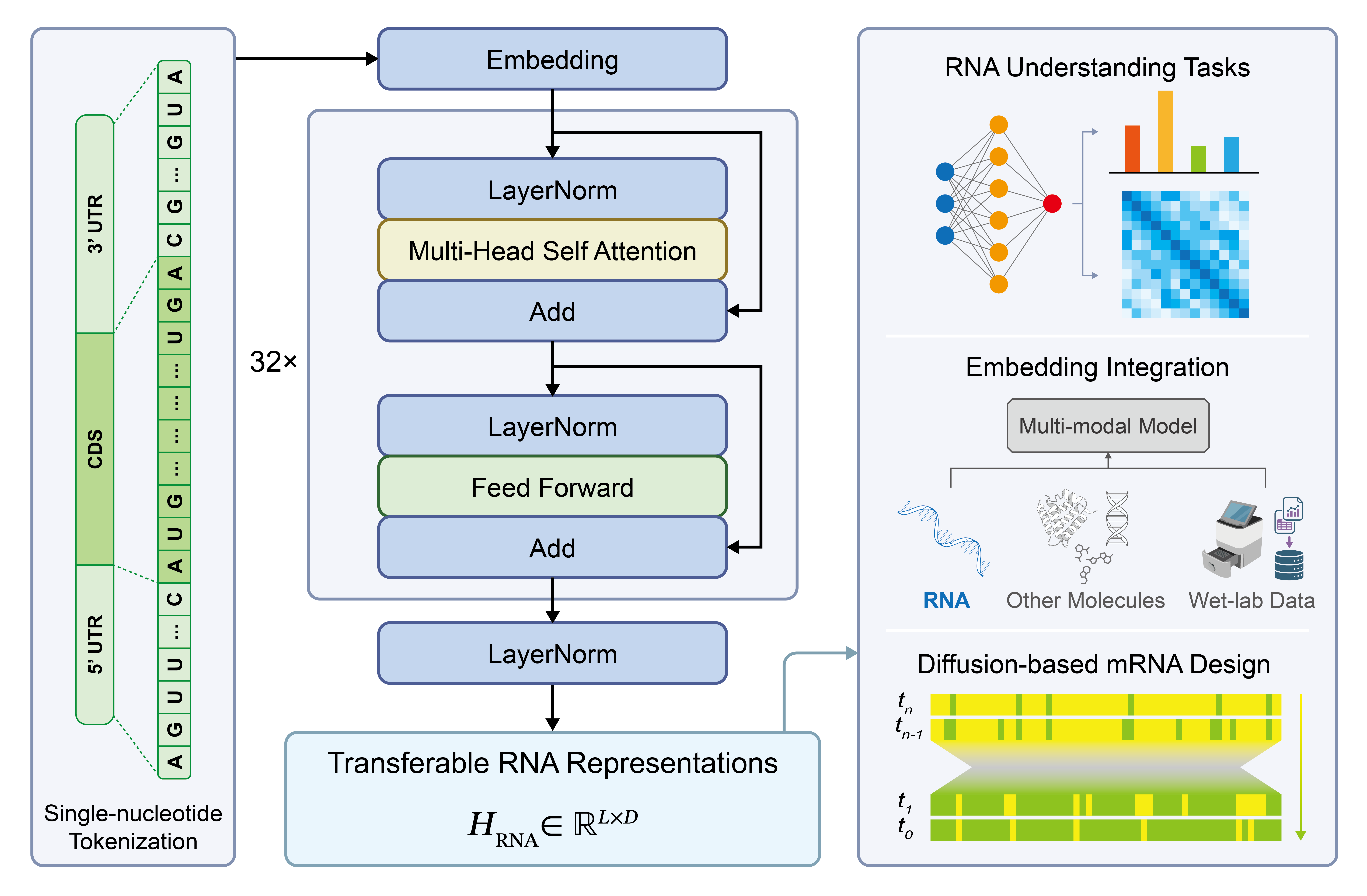 RiboSpan architecture