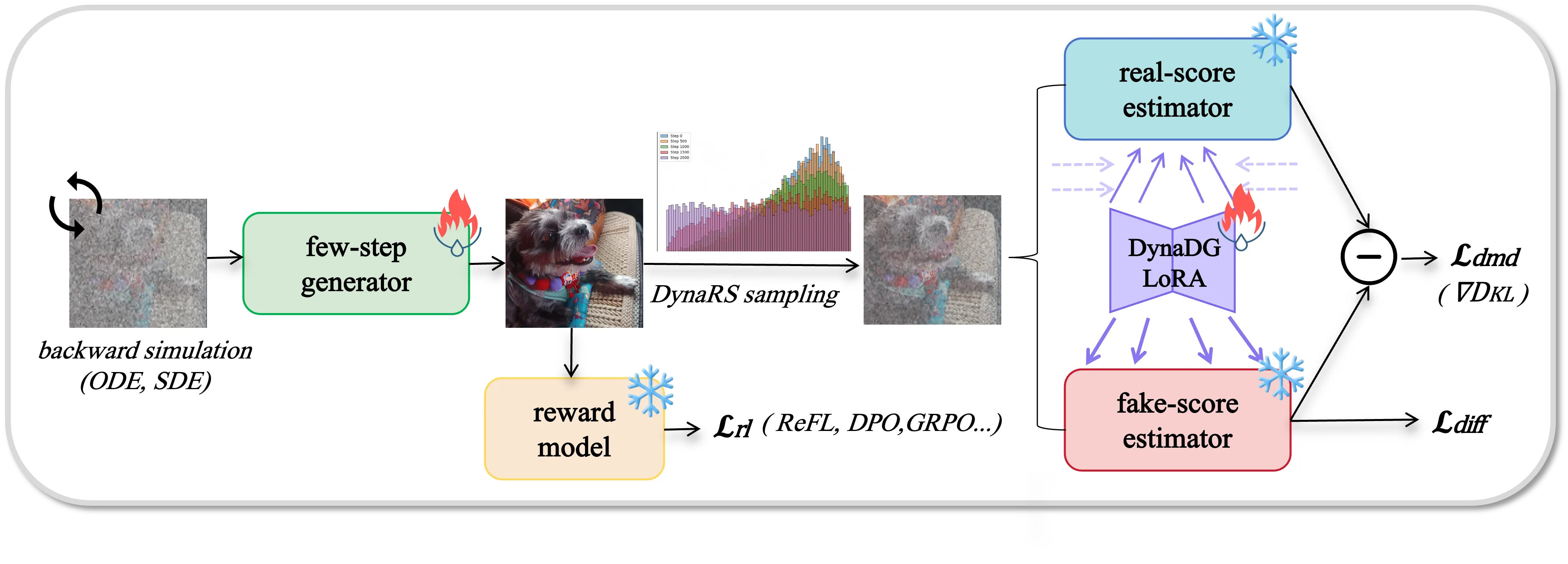 DMDR.webp