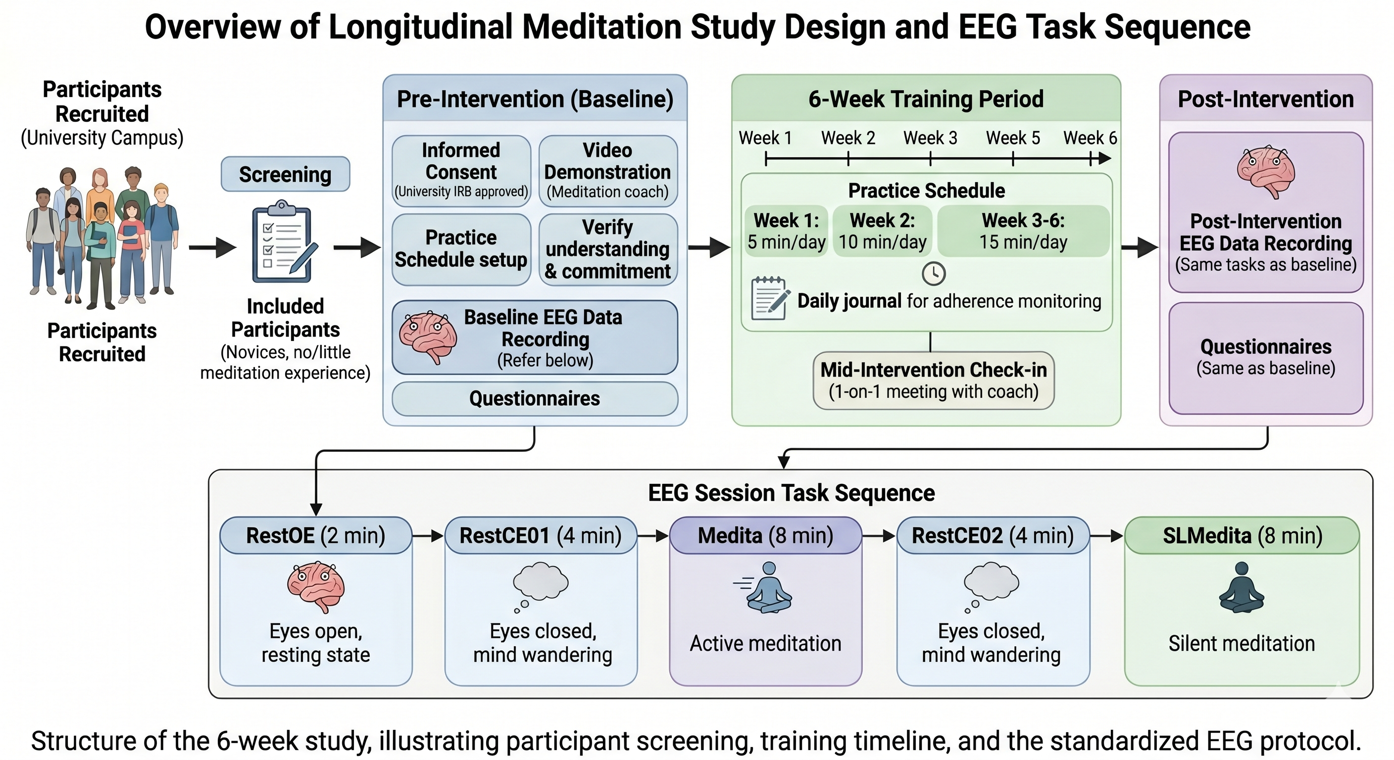 Overview of the longitudinal meditation study design and EEG task sequence