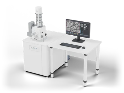 Scanning electron microscope