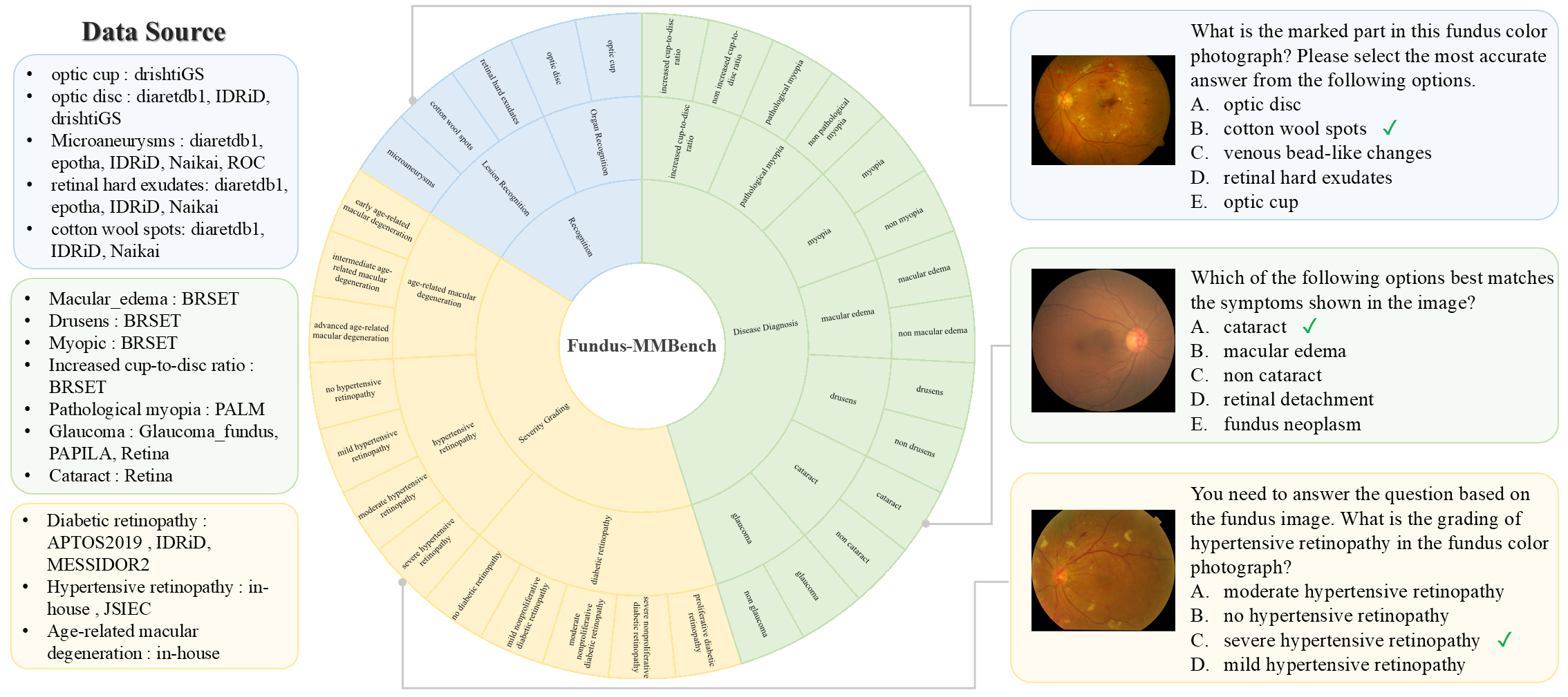 Fundus-MMBench Details