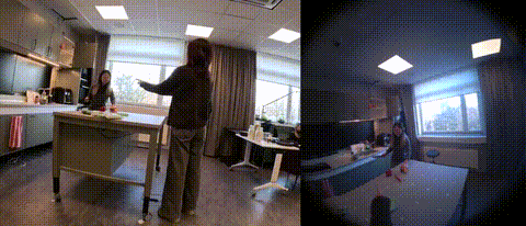 Example from dataset.