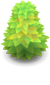 Tree_Tall.png