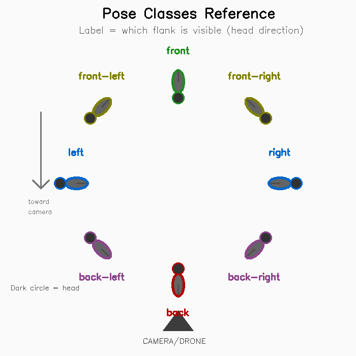 Pose Classes Reference
