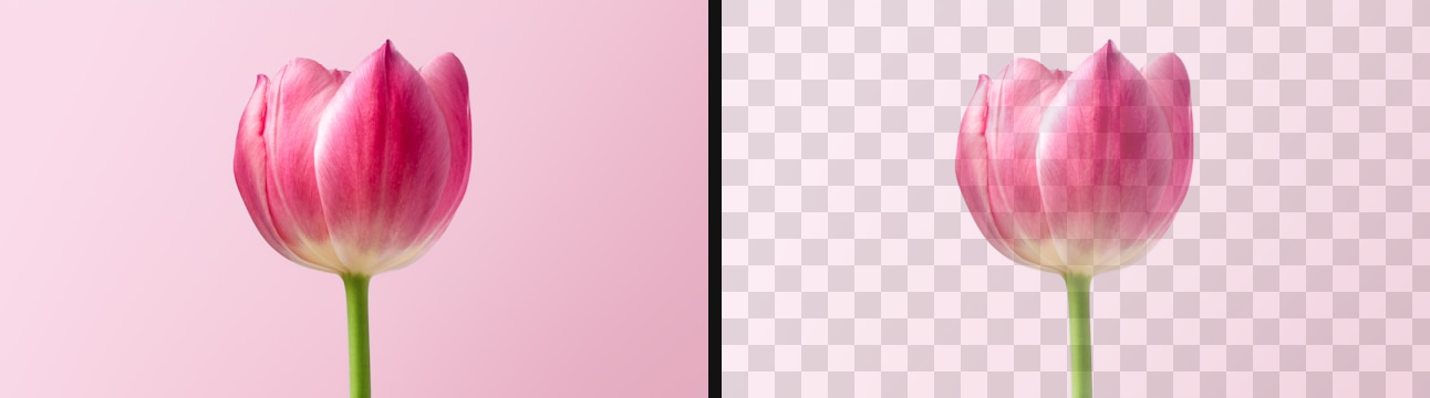 DIS high-precision cutout