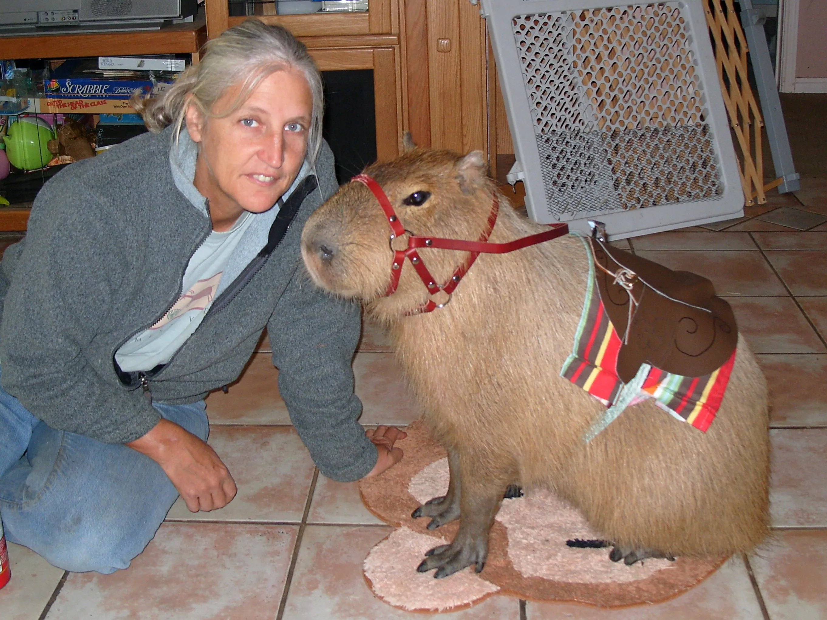 capyabara.webp