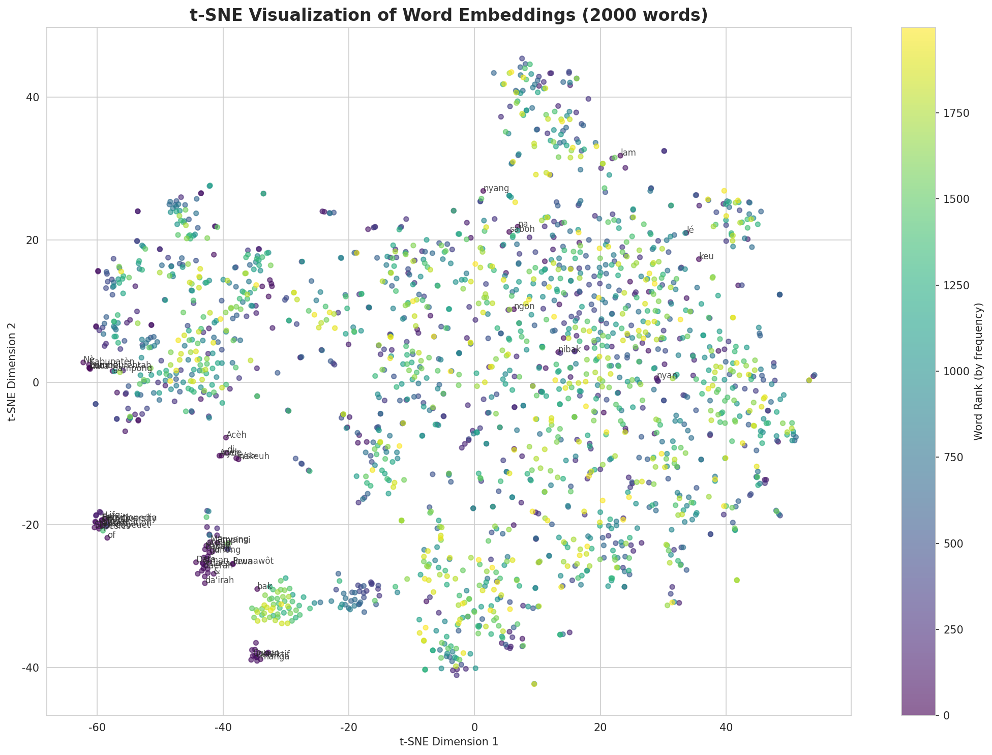 t-SNE Words