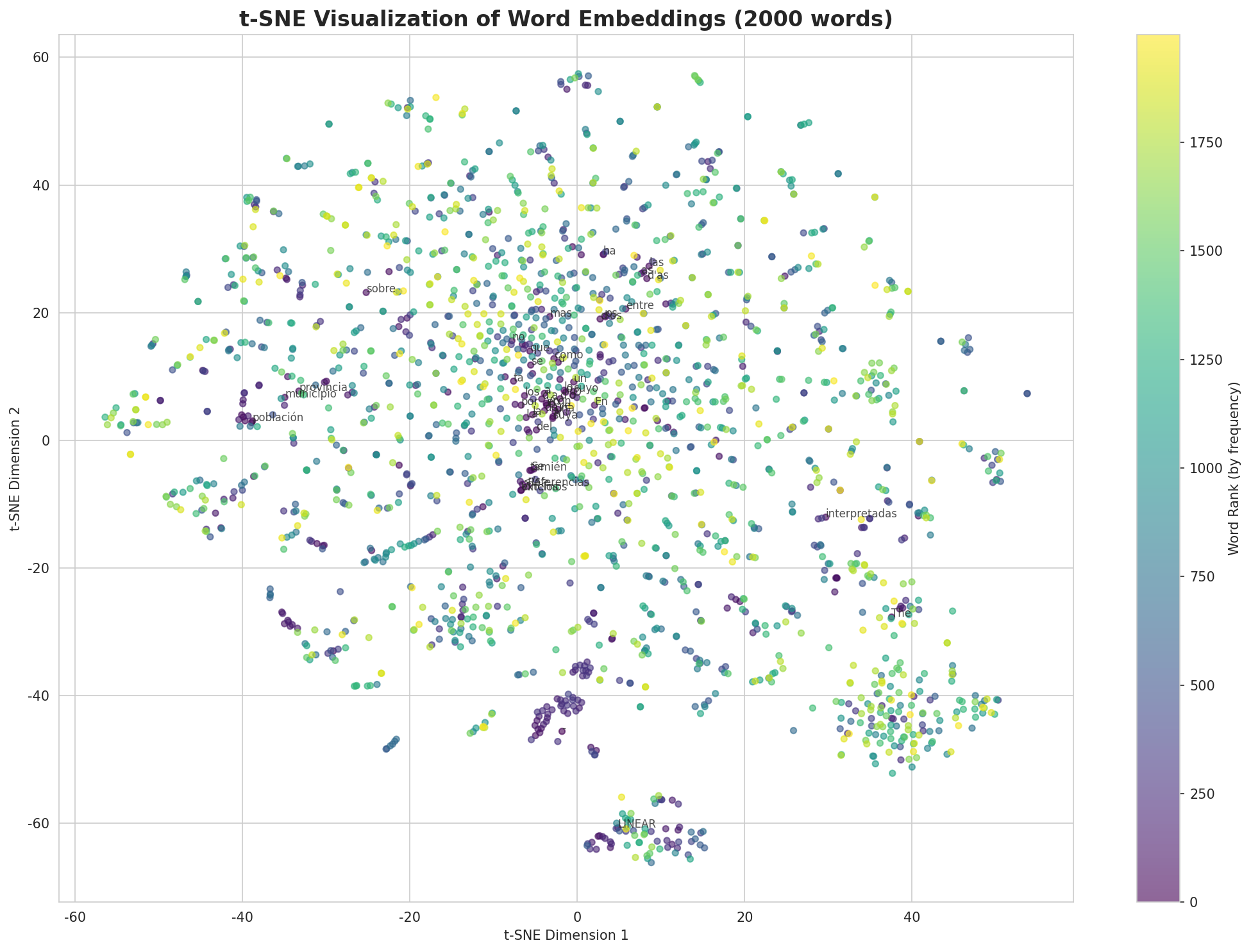t-SNE Words