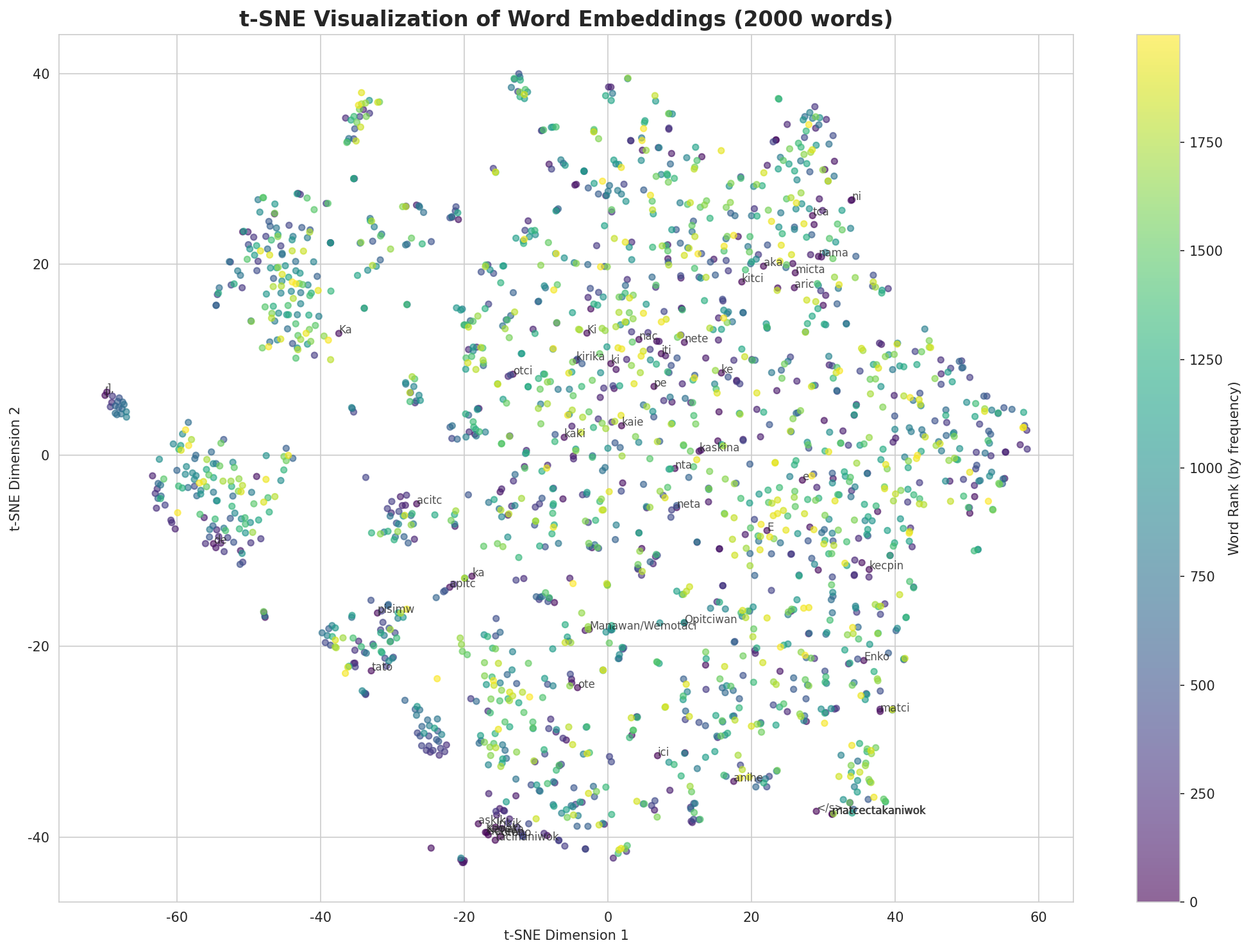 t-SNE Words
