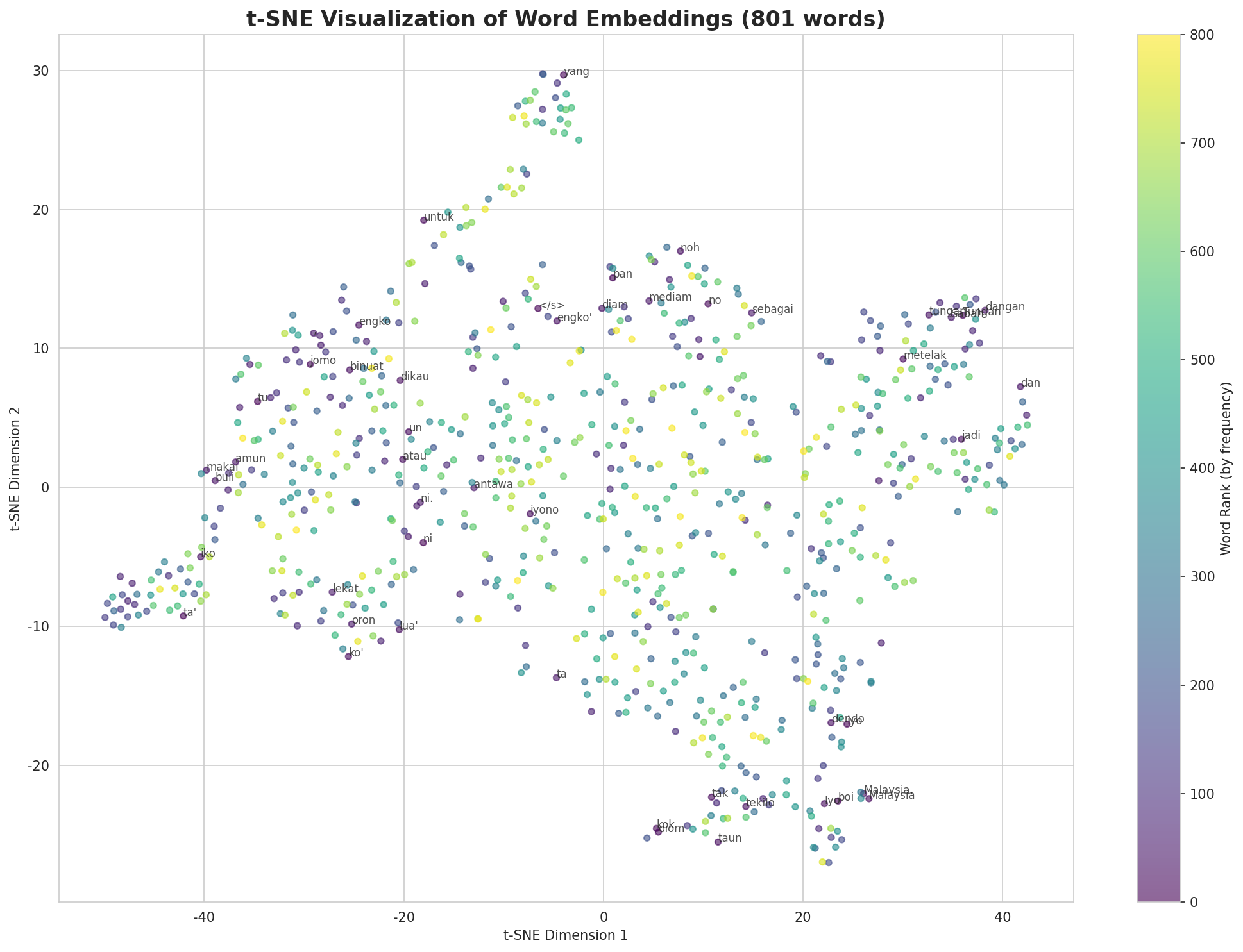 t-SNE Words