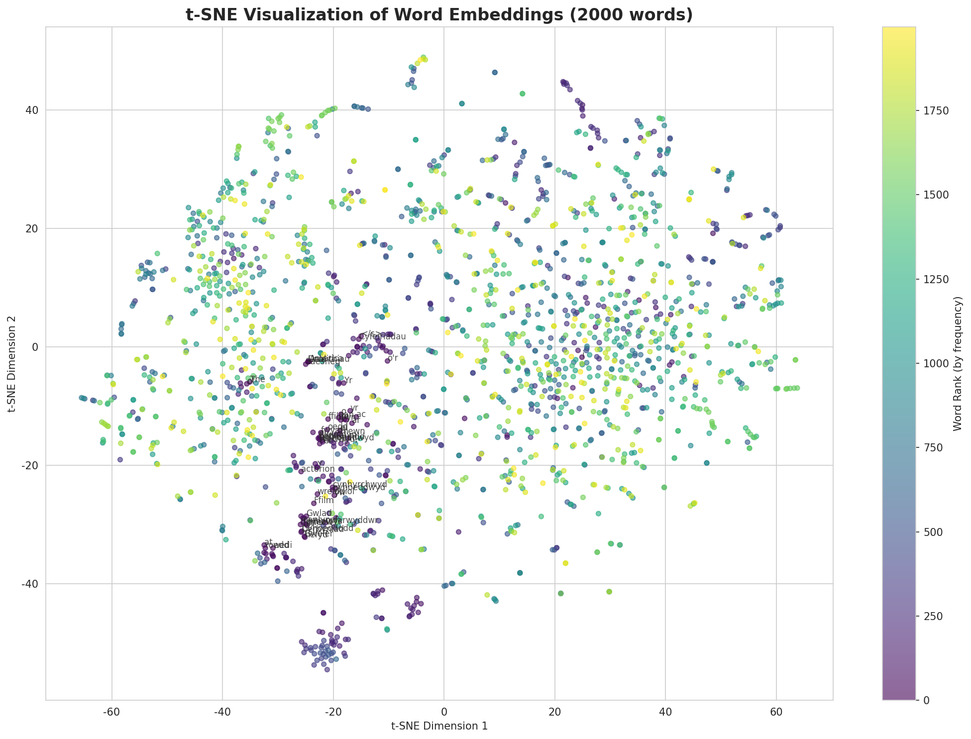 t-SNE Words