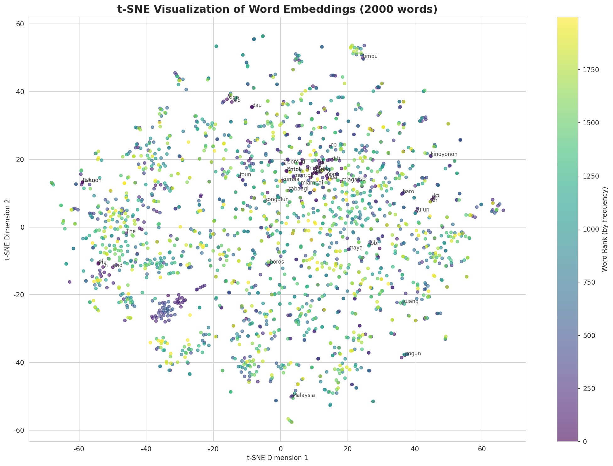 t-SNE Words