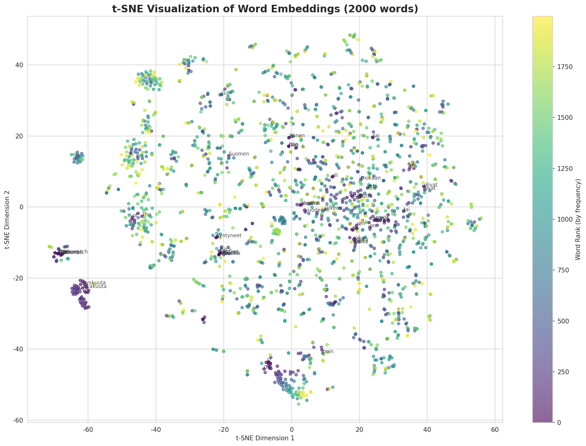 t-SNE Words