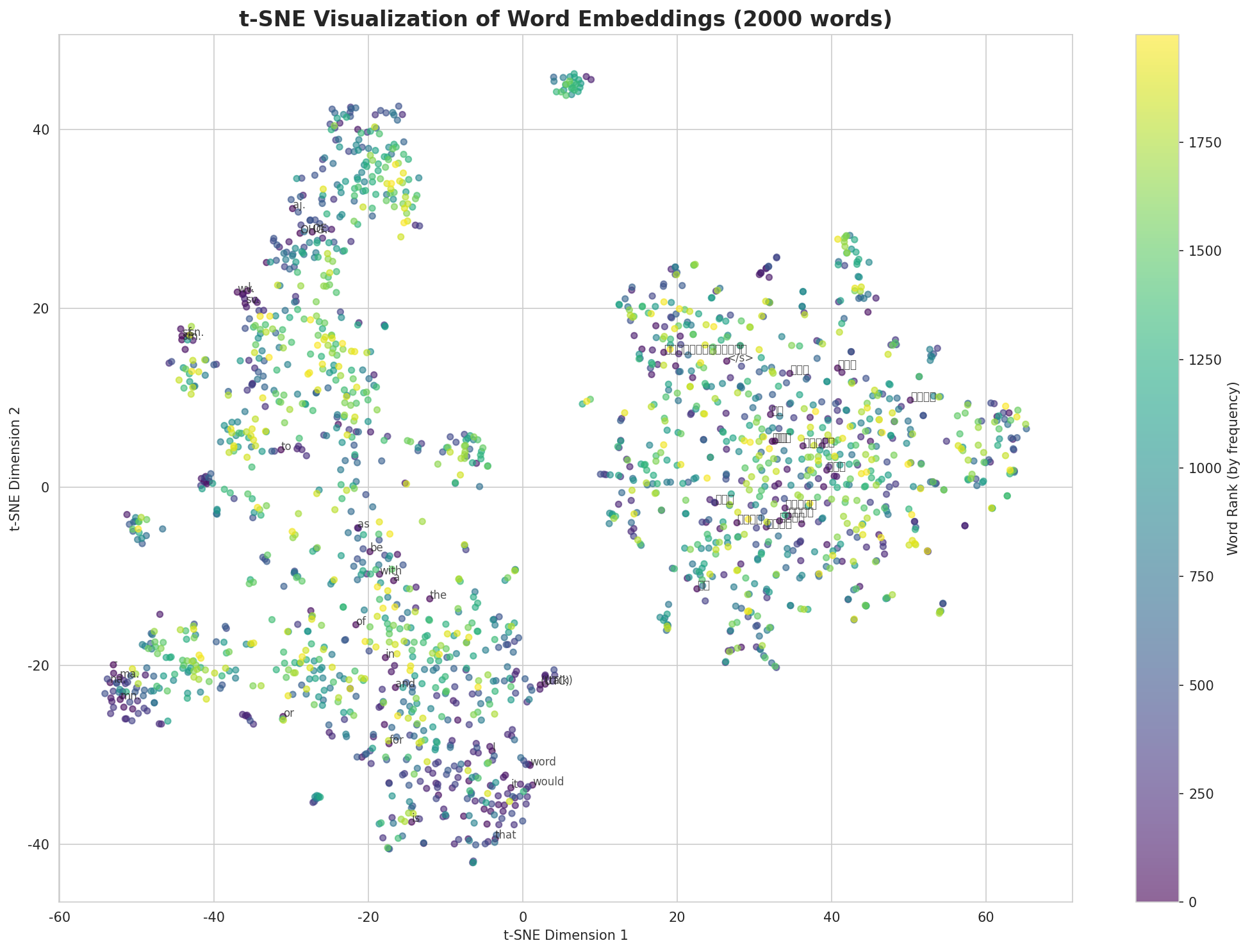 t-SNE Words