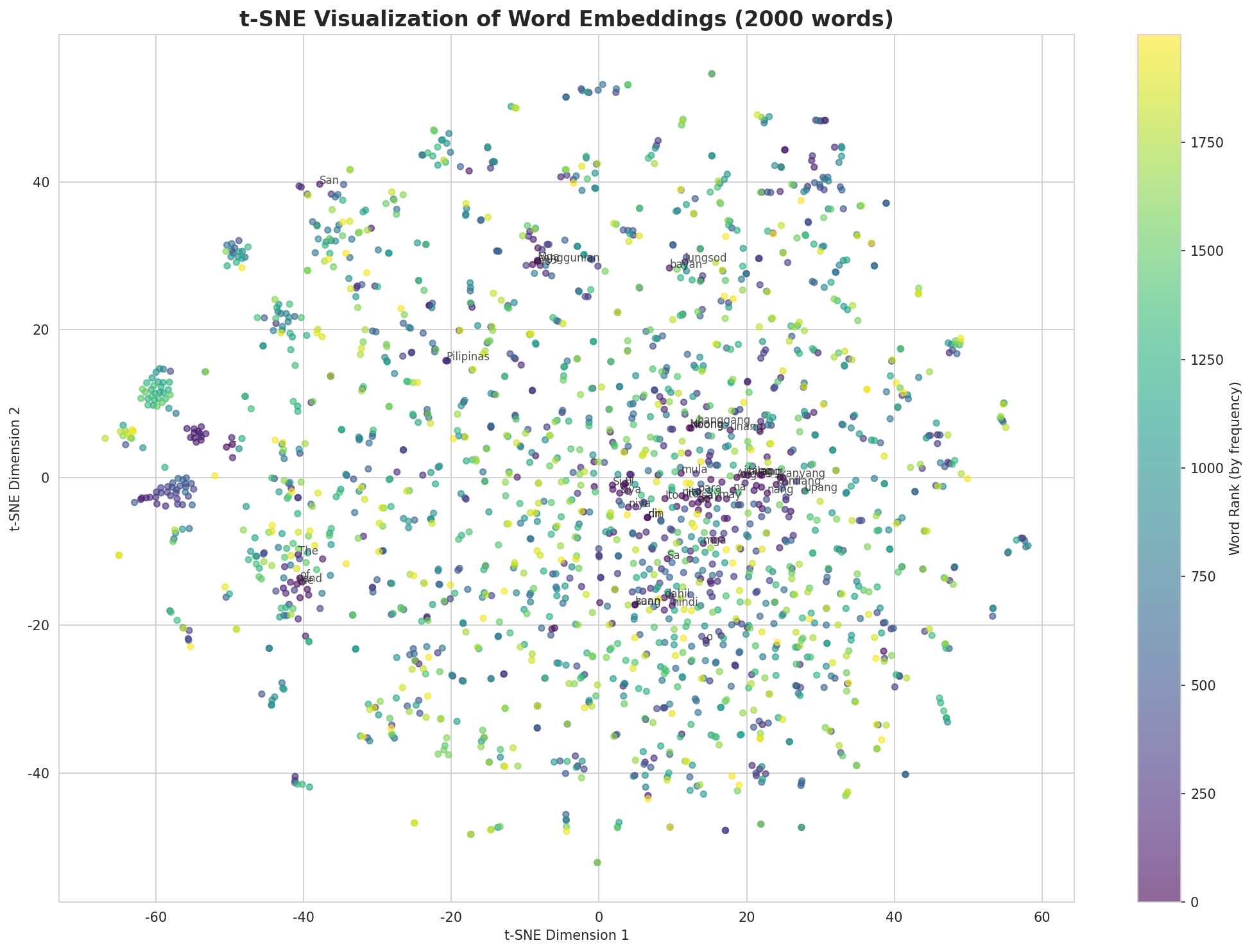 t-SNE Words