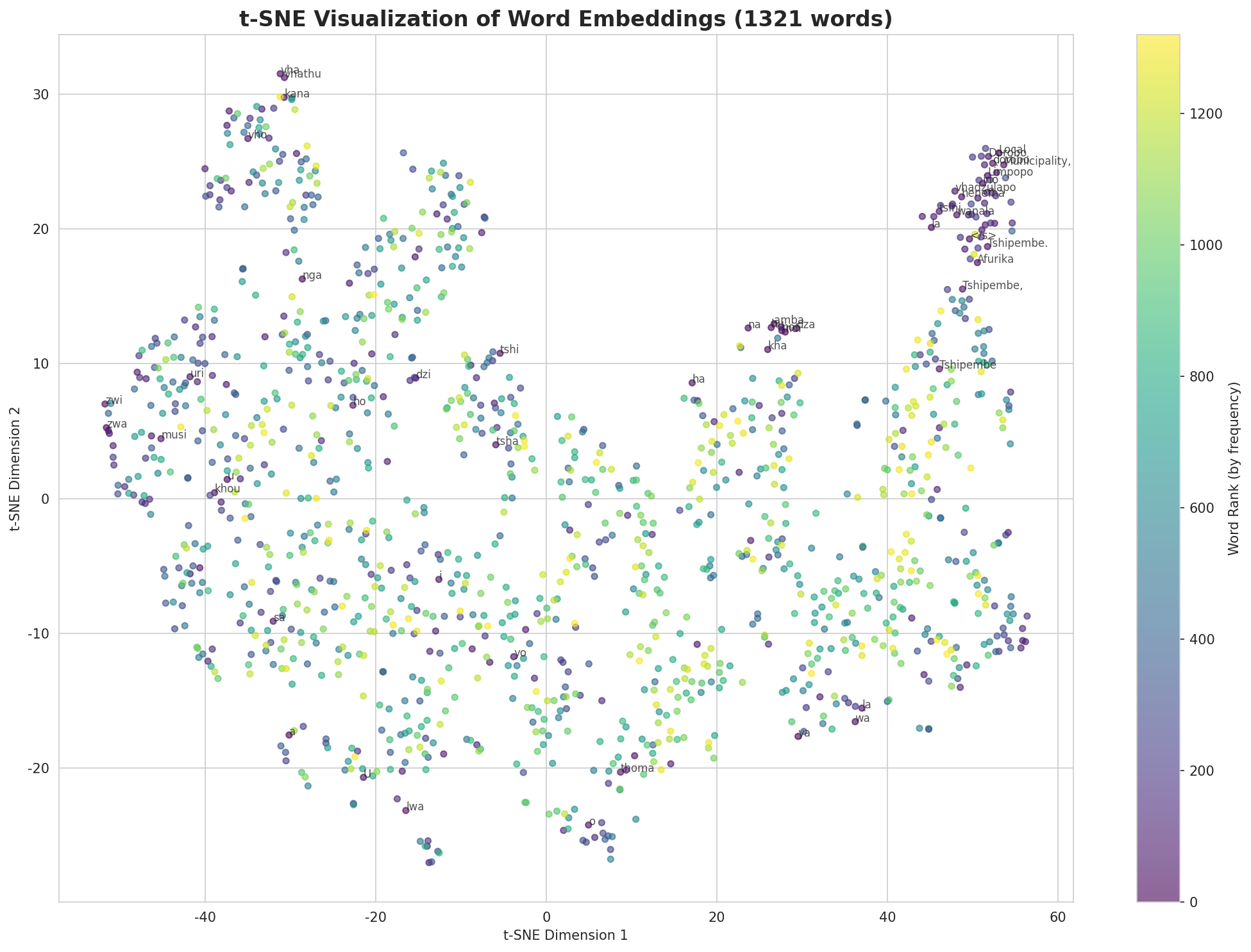 t-SNE Words