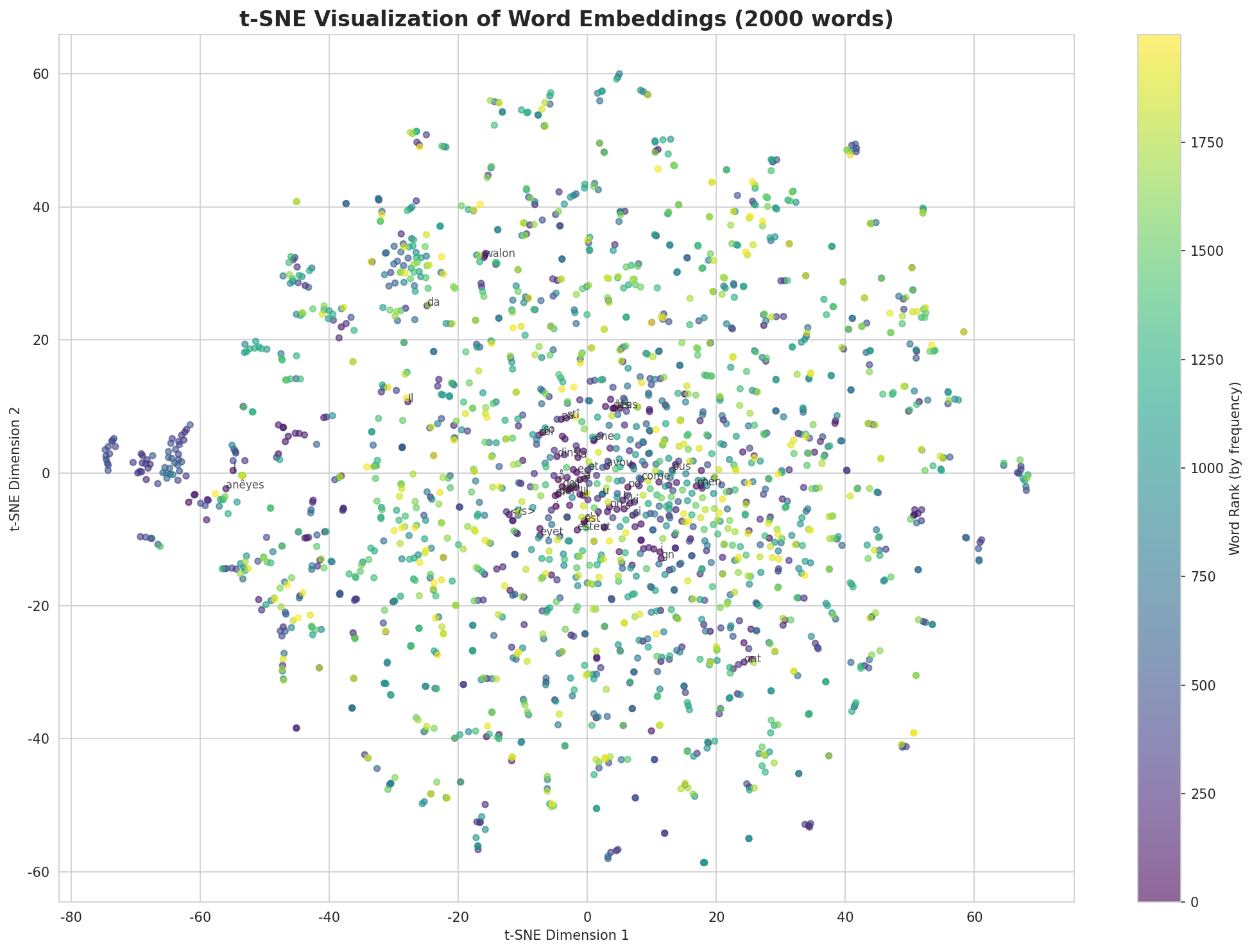 t-SNE Words