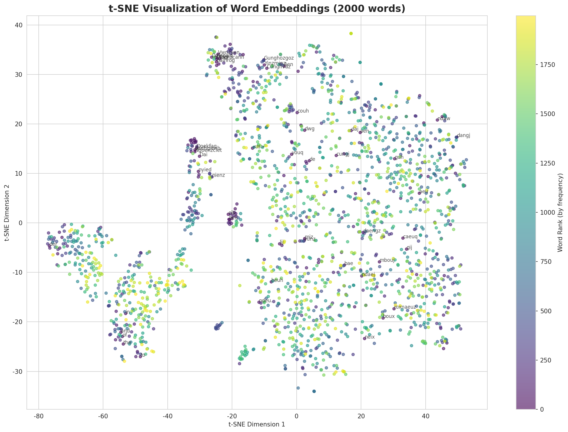 t-SNE Words