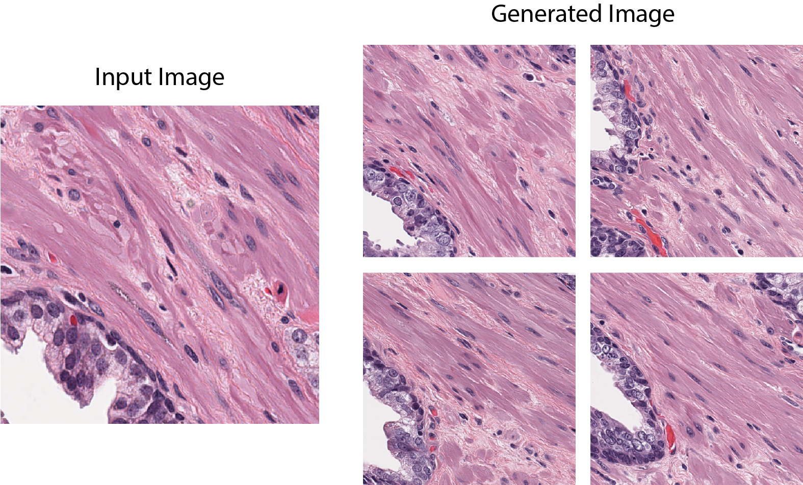 Image2image